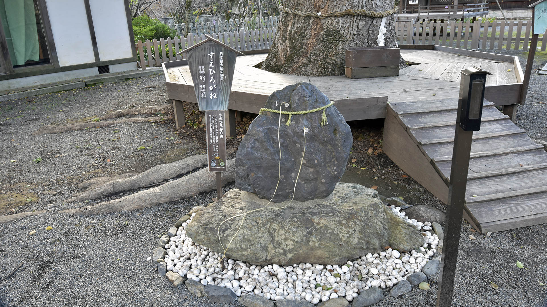 平野神社