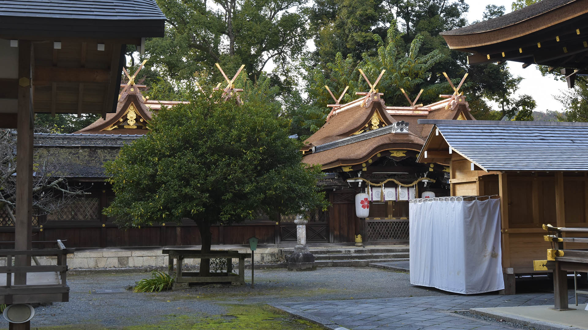 平野神社