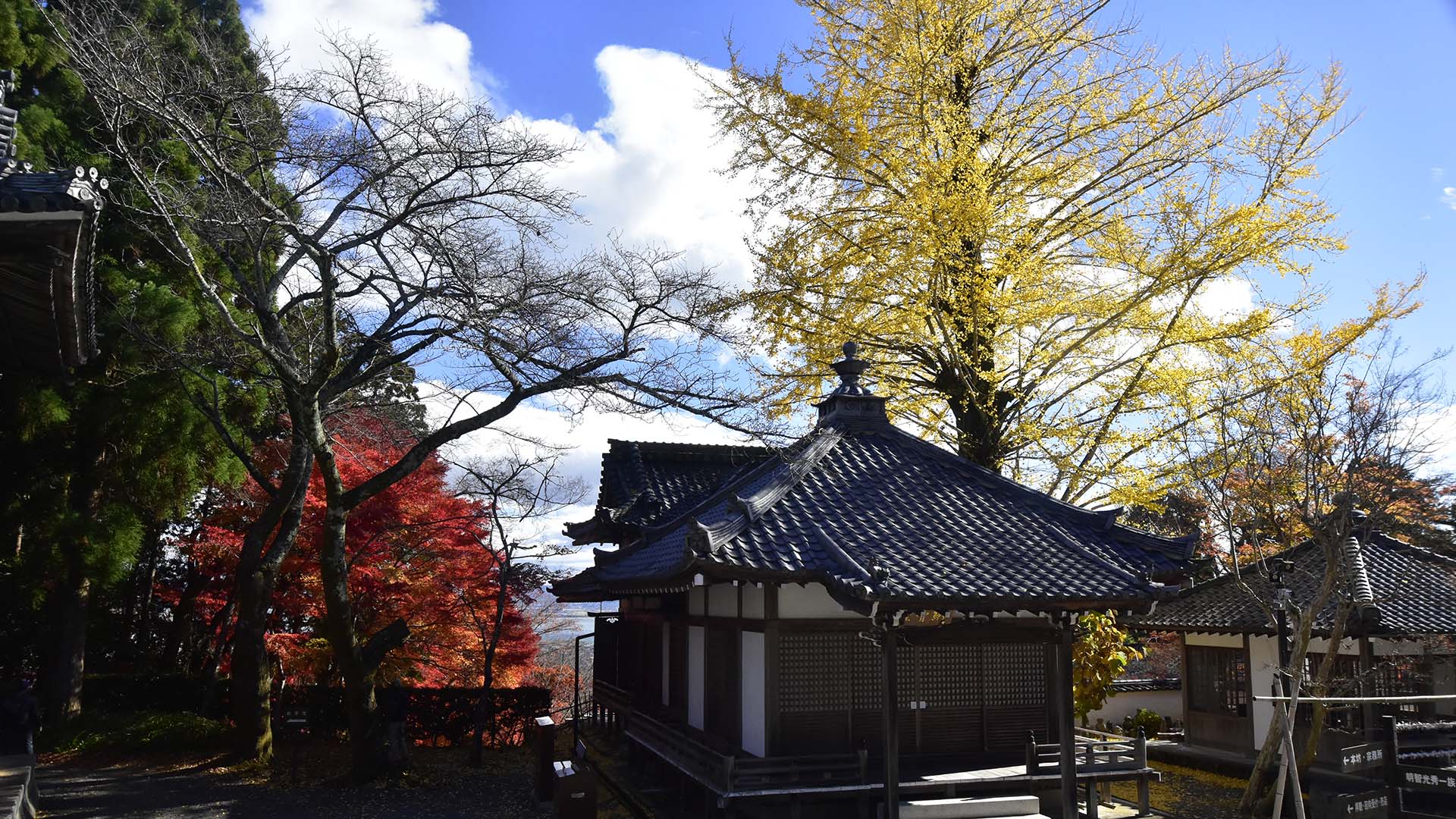 紅葉の名所、琵琶湖の西教寺