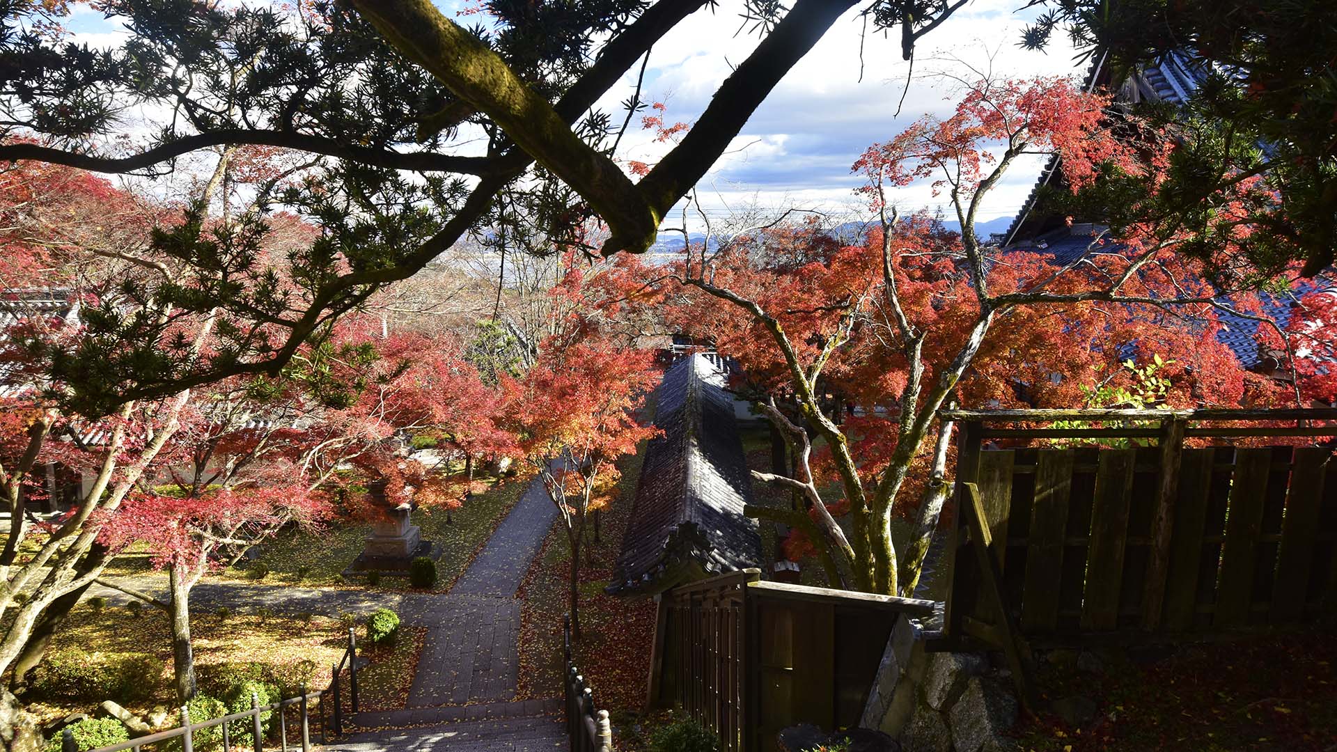 紅葉の名所、琵琶湖の西教寺