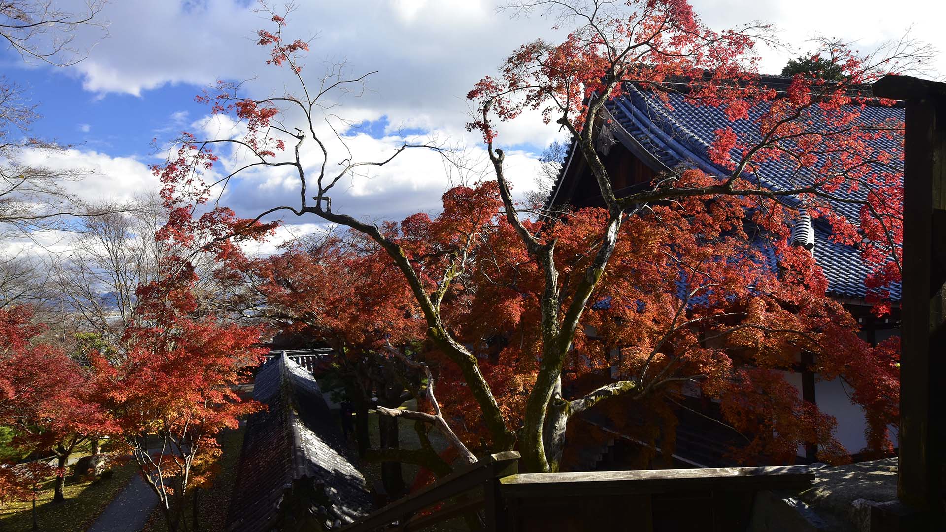 紅葉の名所、琵琶湖の西教寺