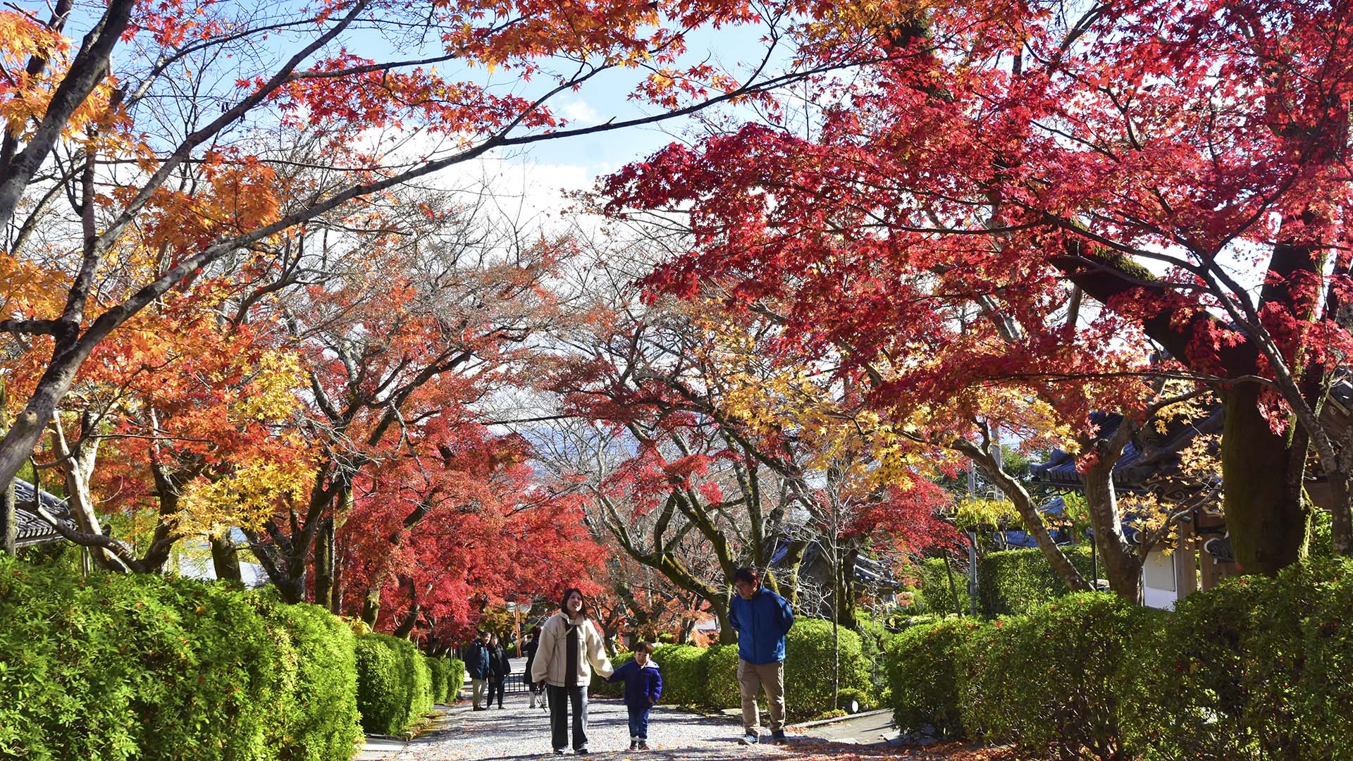 紅葉の名所、琵琶湖の西教寺