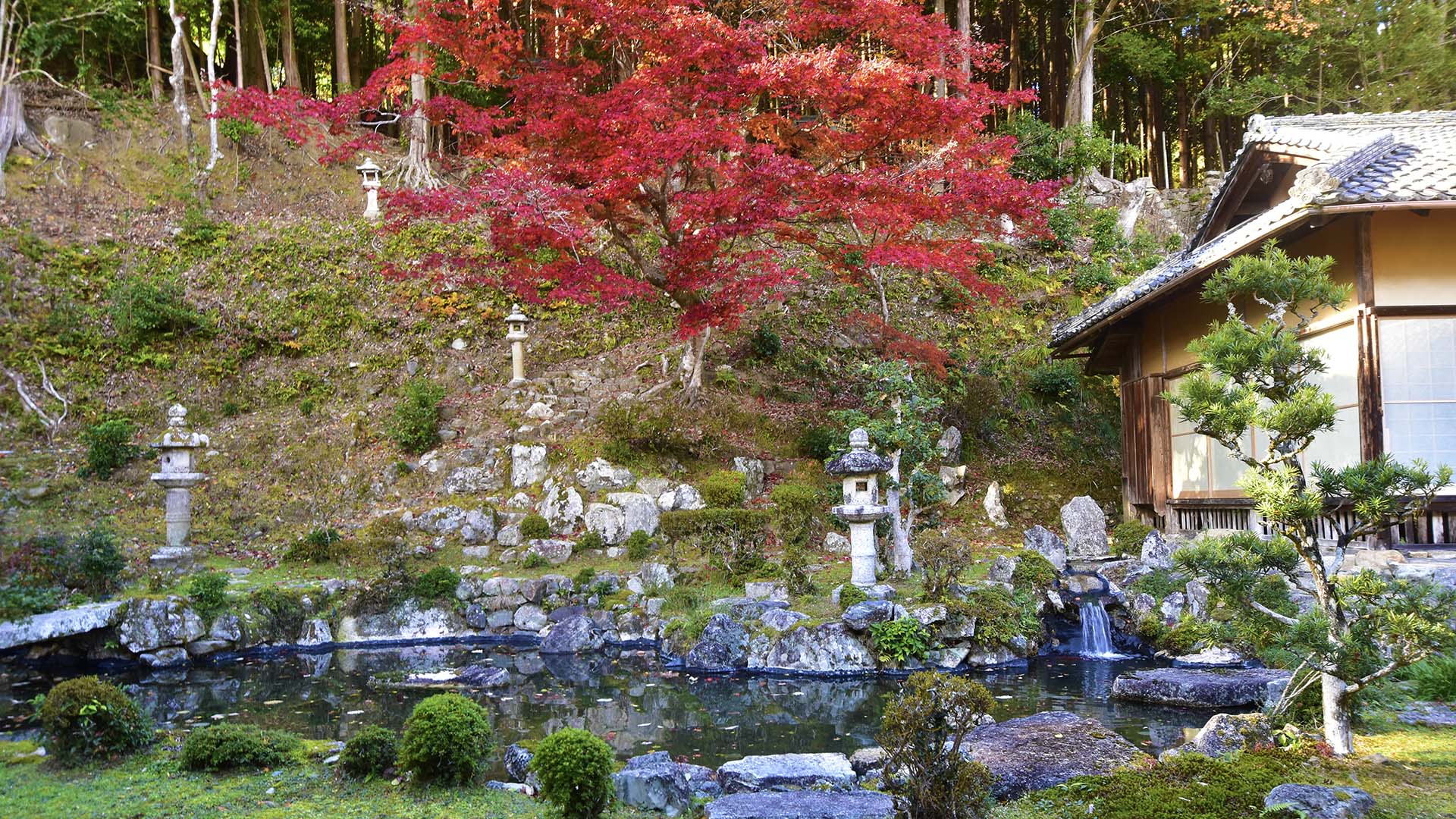 紅葉の名所、琵琶湖の西教寺