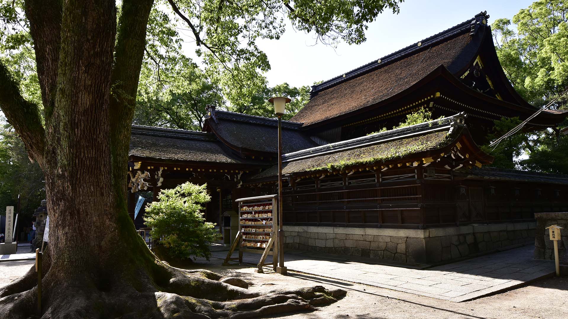 勝負運と馬の神さま・京都深草藤森神社