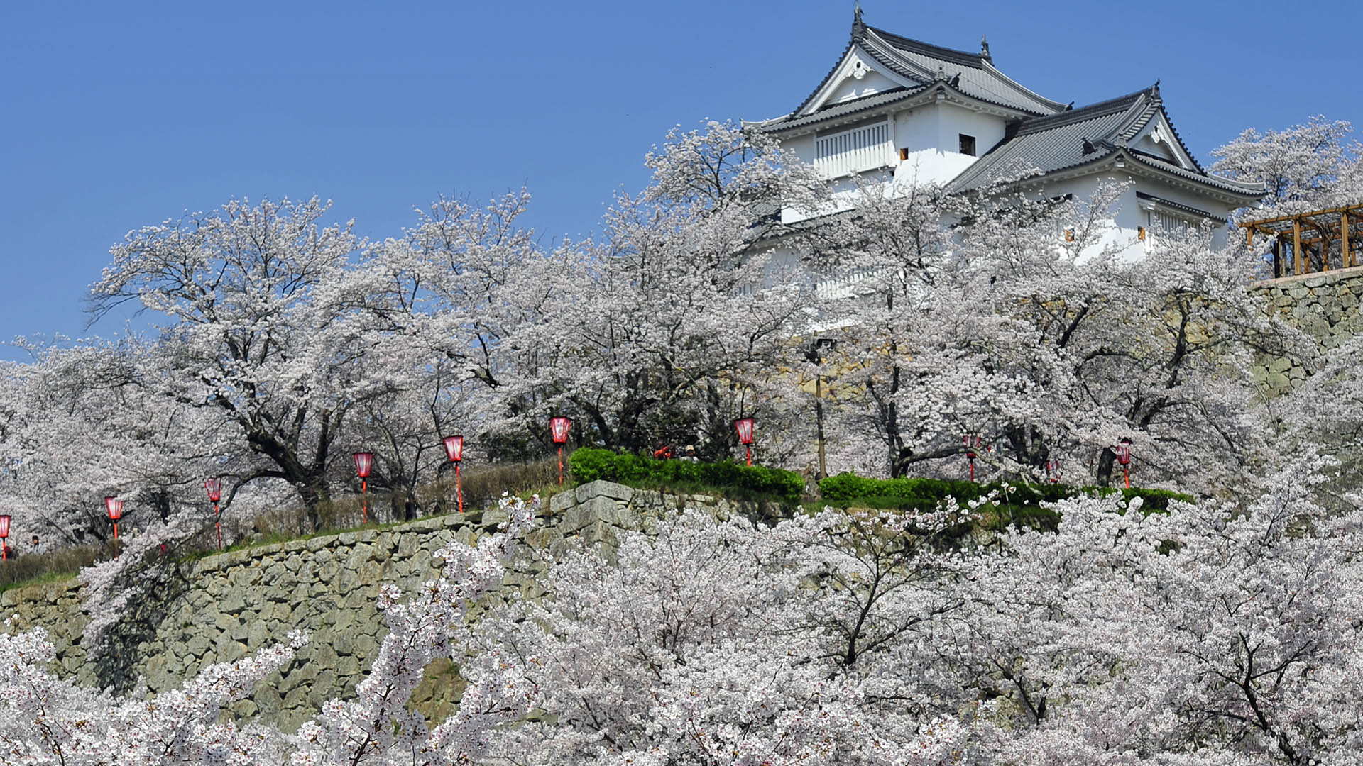 岡山津山城