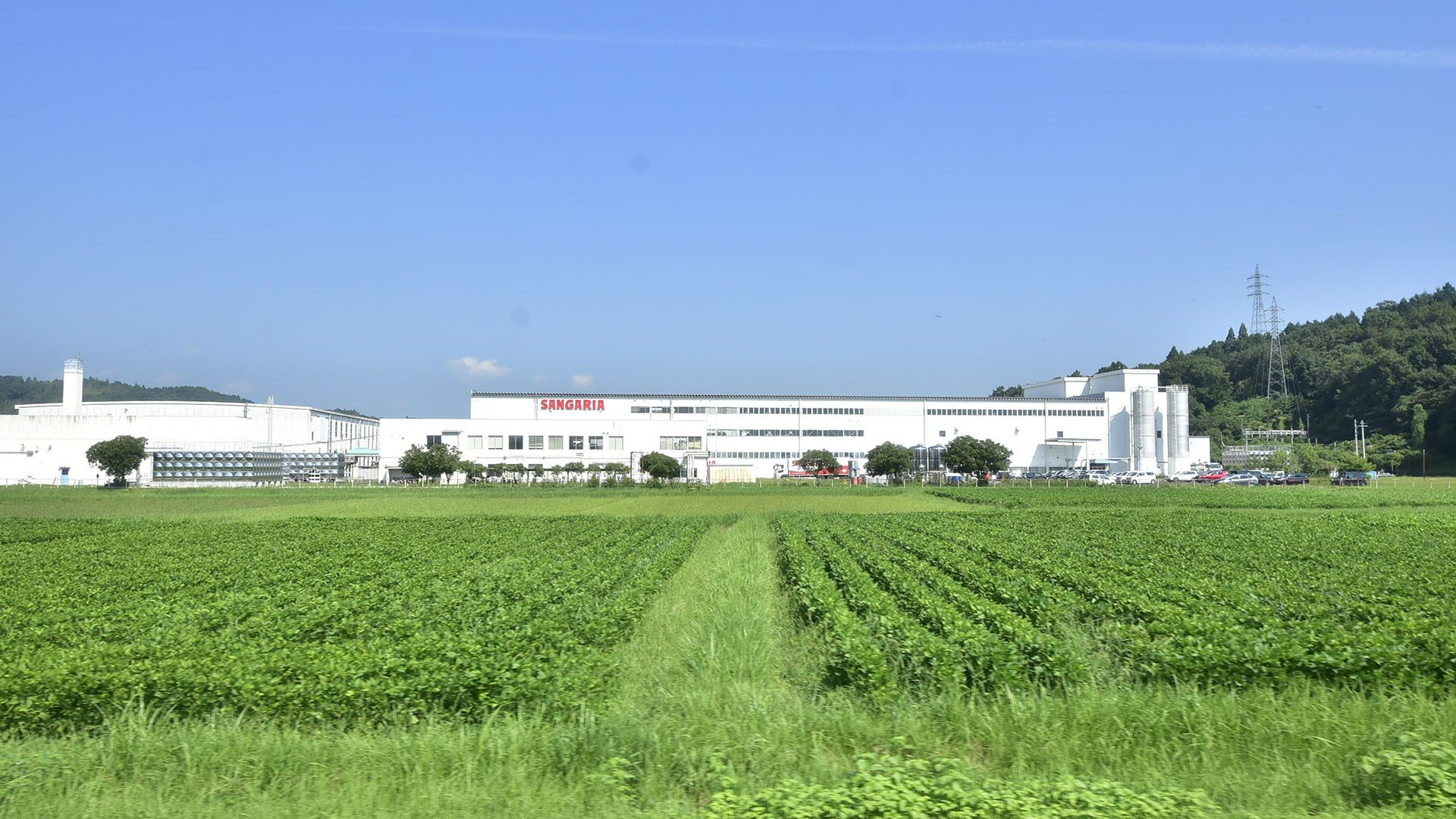 忍者の町・伊賀上野まち