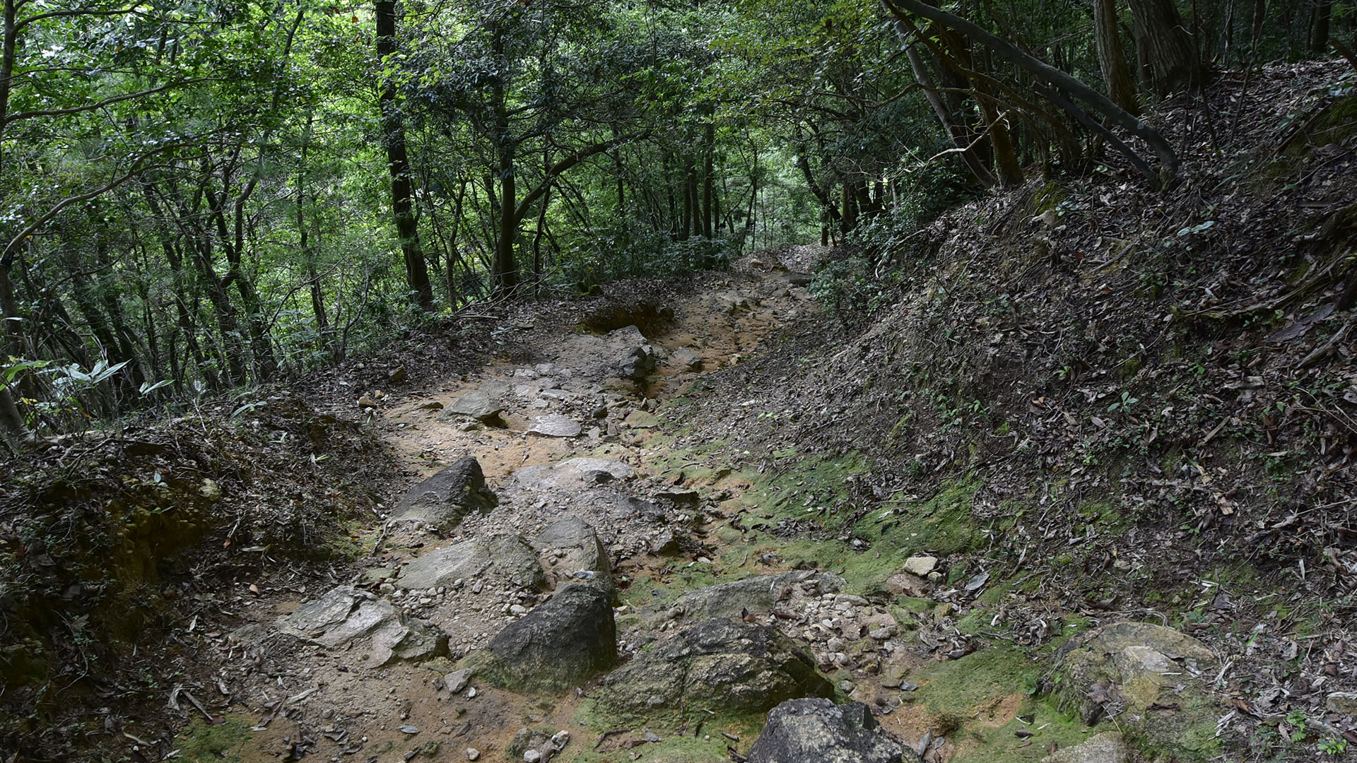 天空の城と呼ばれる竹田の山城