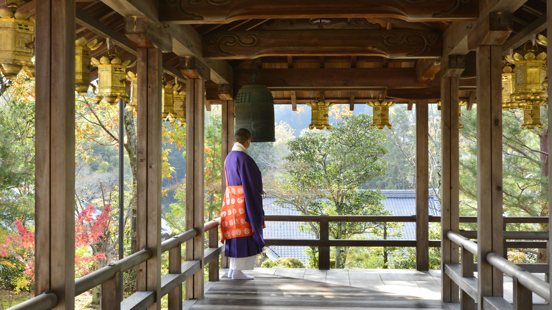 もみじのトンネルが美しい長岡京光明寺