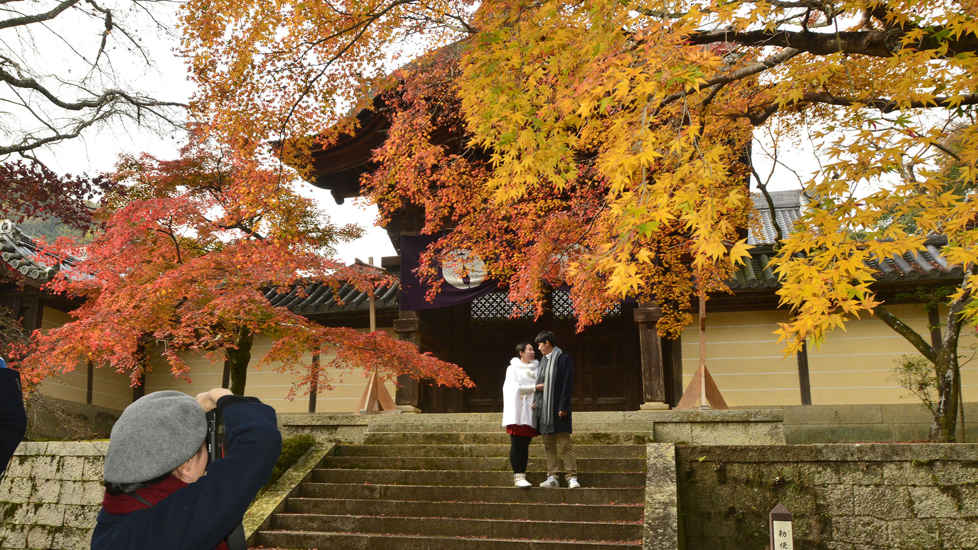 もみじのトンネルが美しい長岡京光明寺