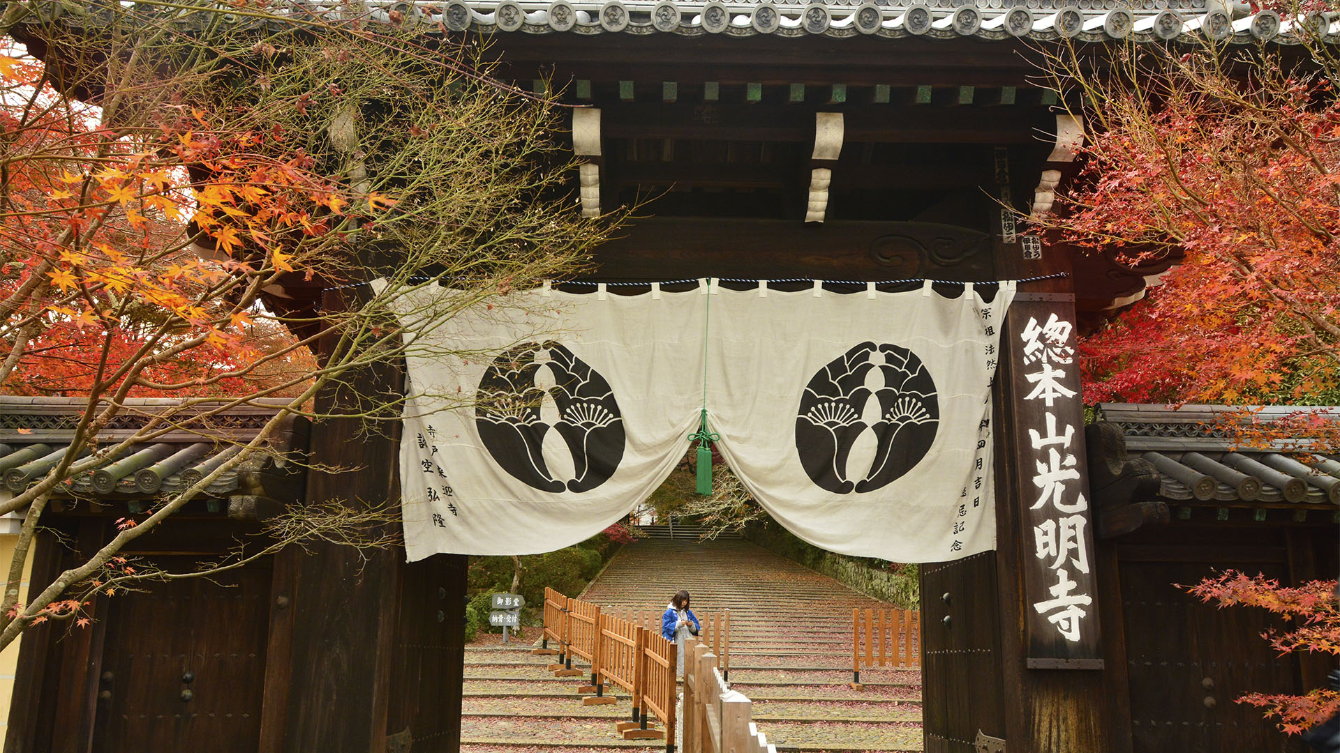 もみじのトンネルが美しい長岡京光明寺