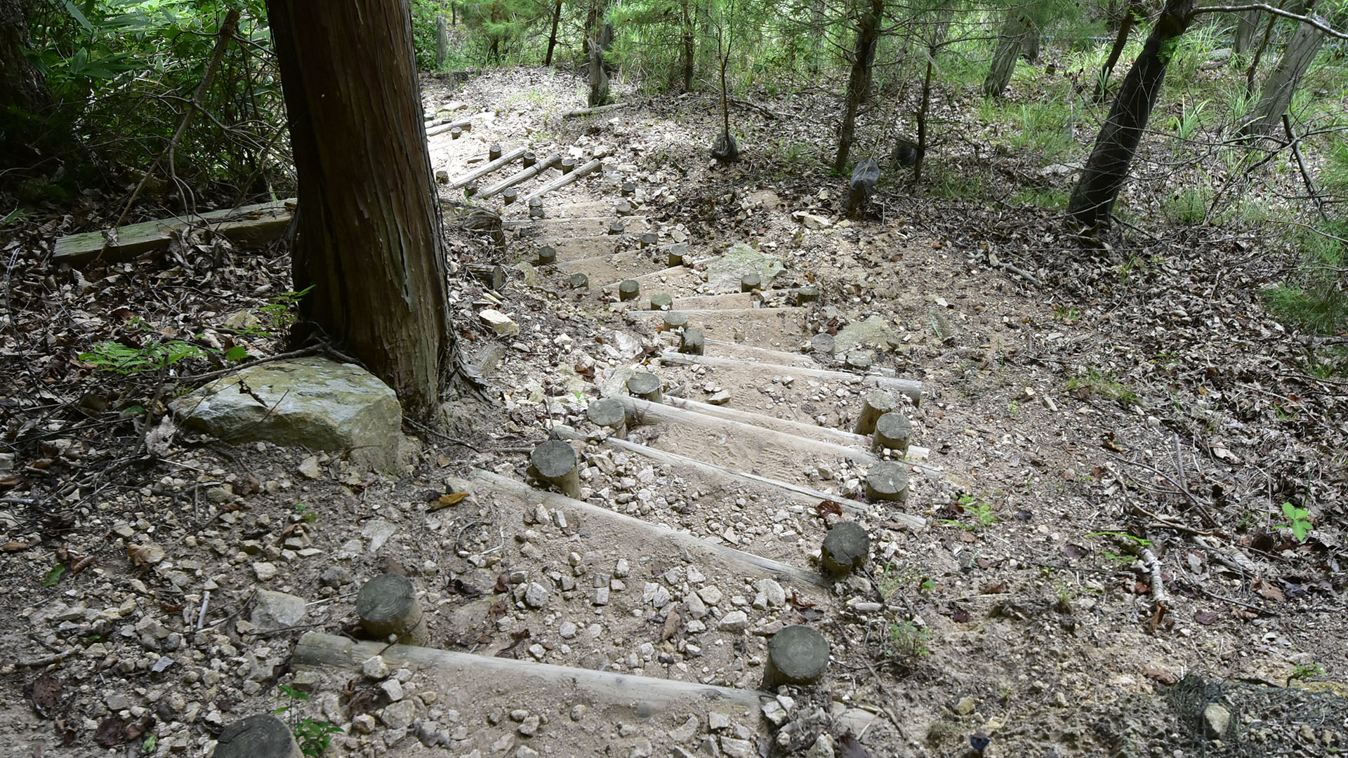 天空の城と呼ばれる竹田の山城