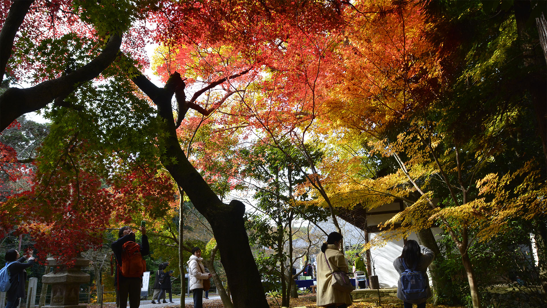 長岡京光明寺