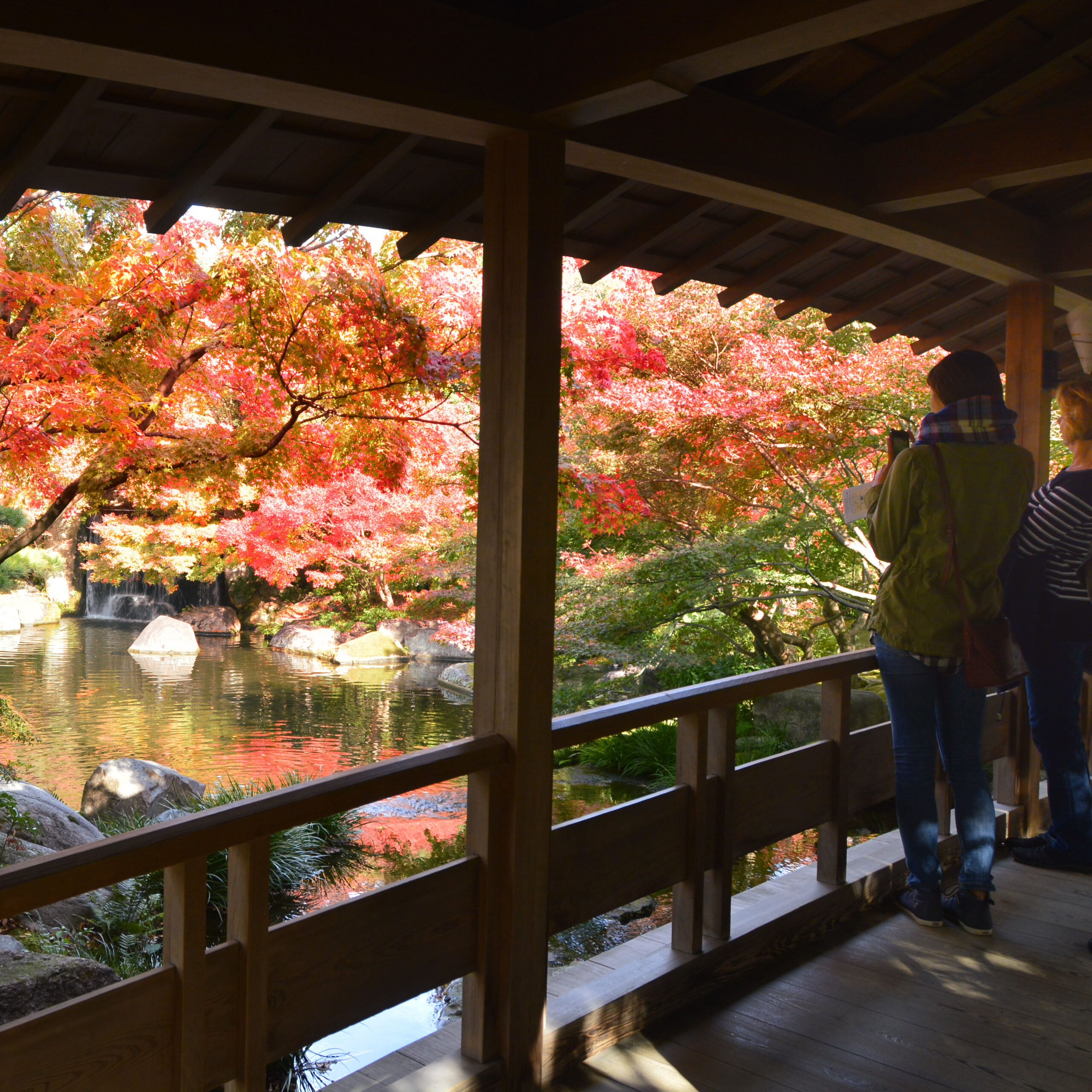 女性的な日本庭園＠姫路好古園