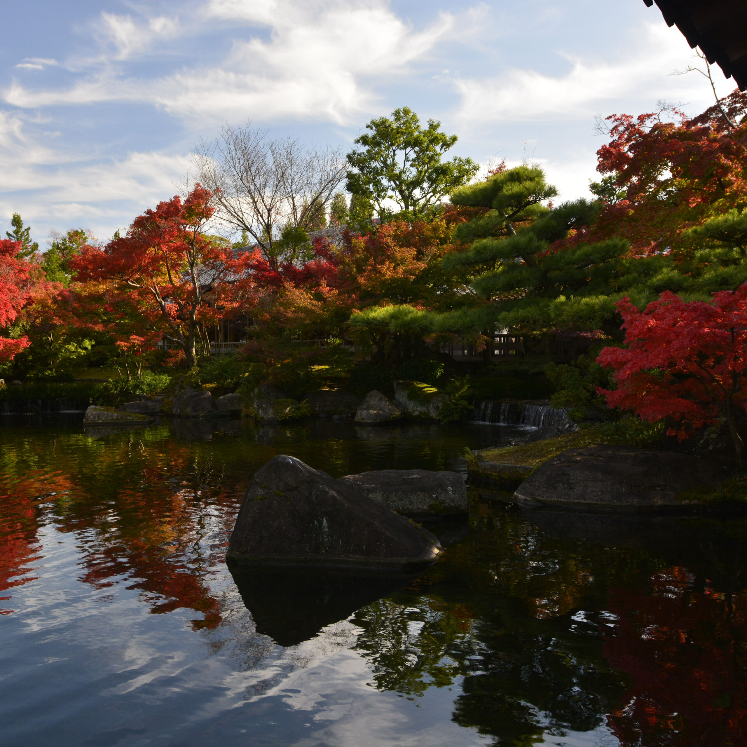 女性的な日本庭園＠姫路好古園