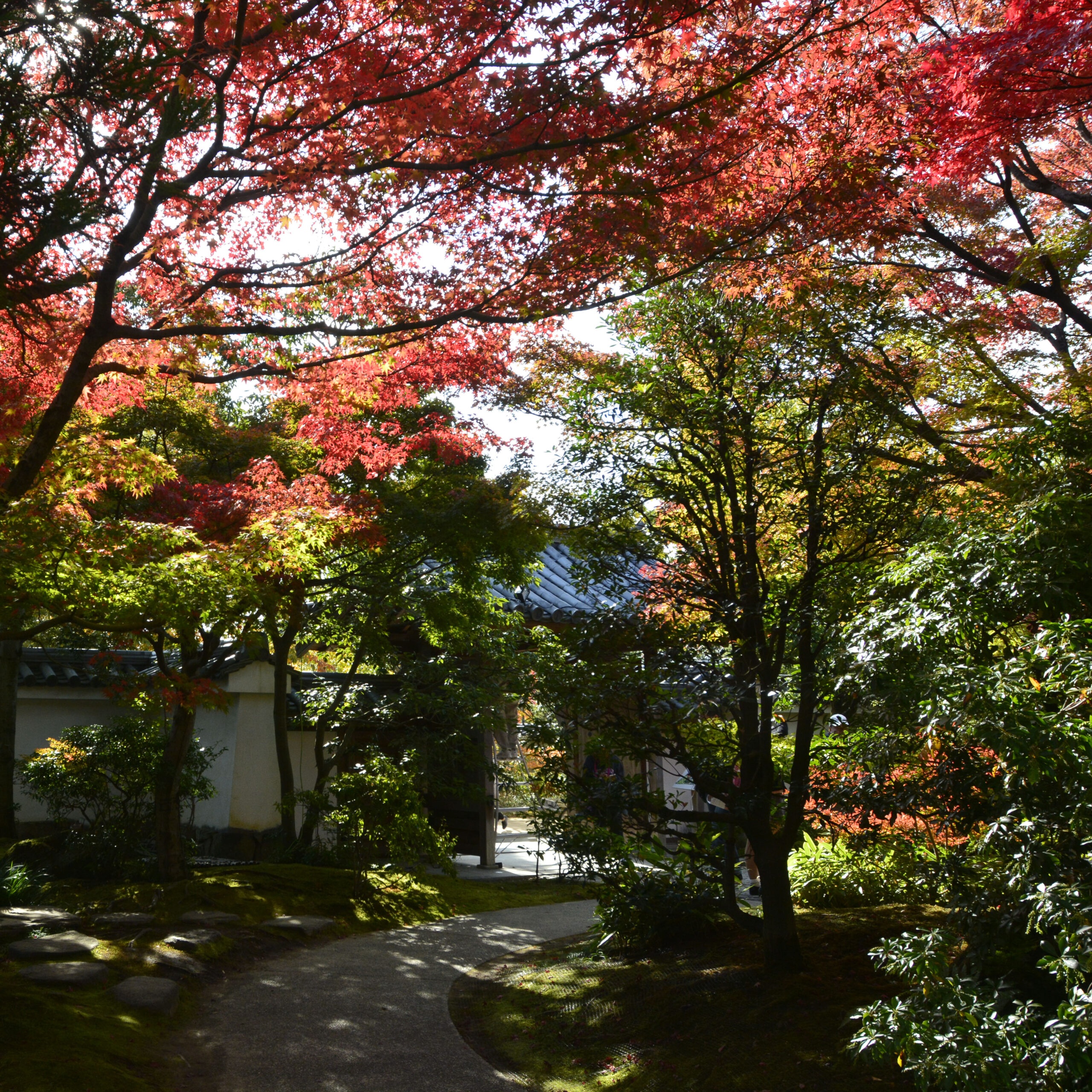 女性的な日本庭園＠姫路好古園