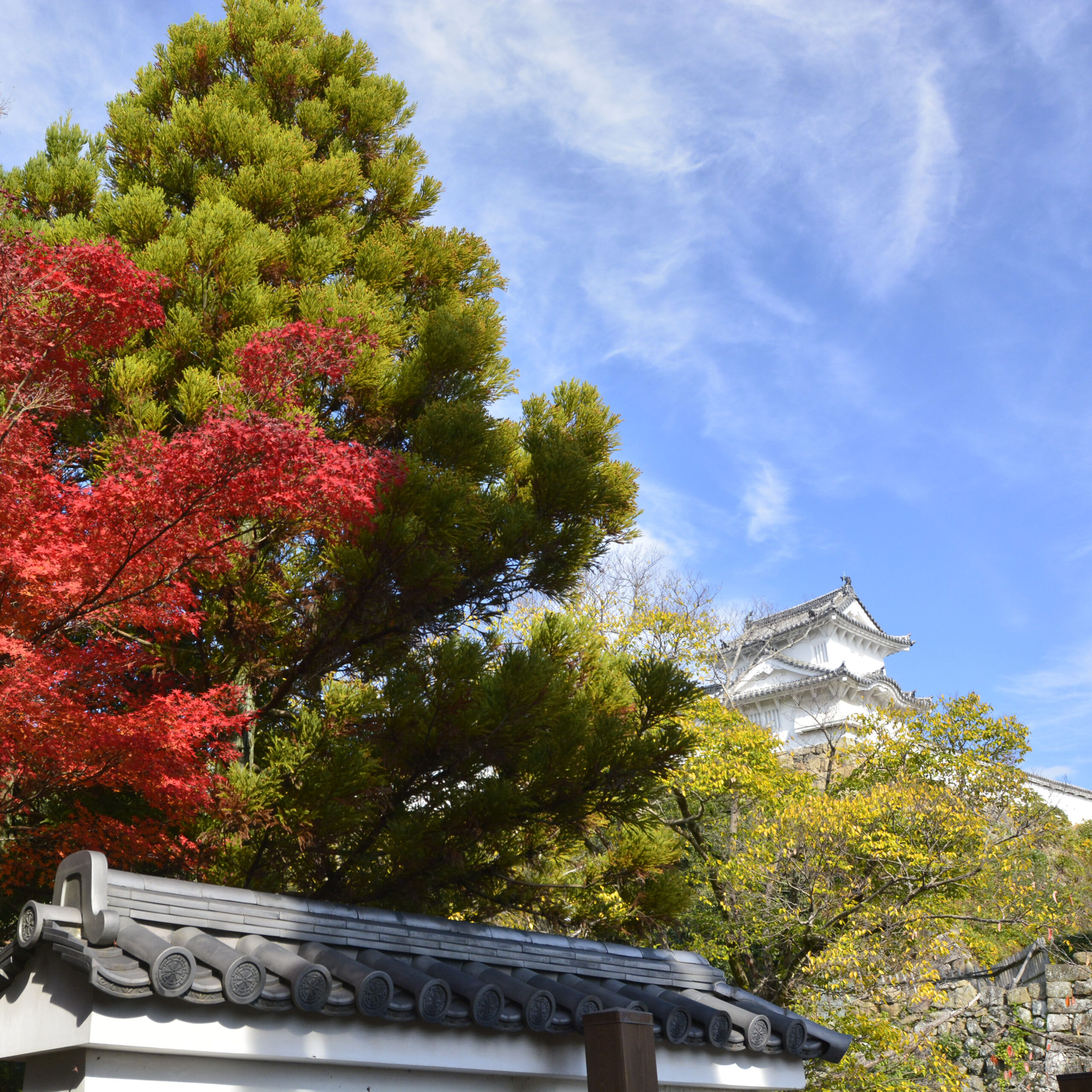 女性的な日本庭園＠姫路好古園