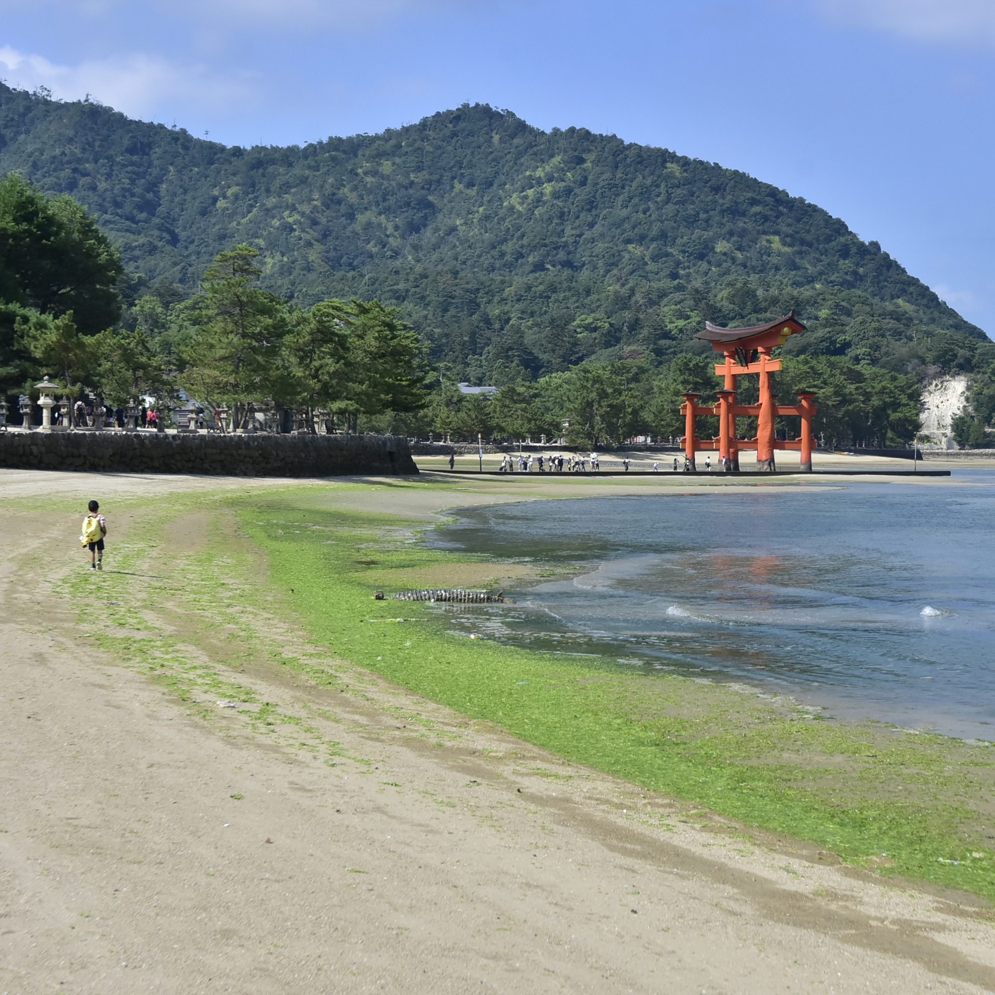 遊びをせんとや生れけむ 厳島清盛神社