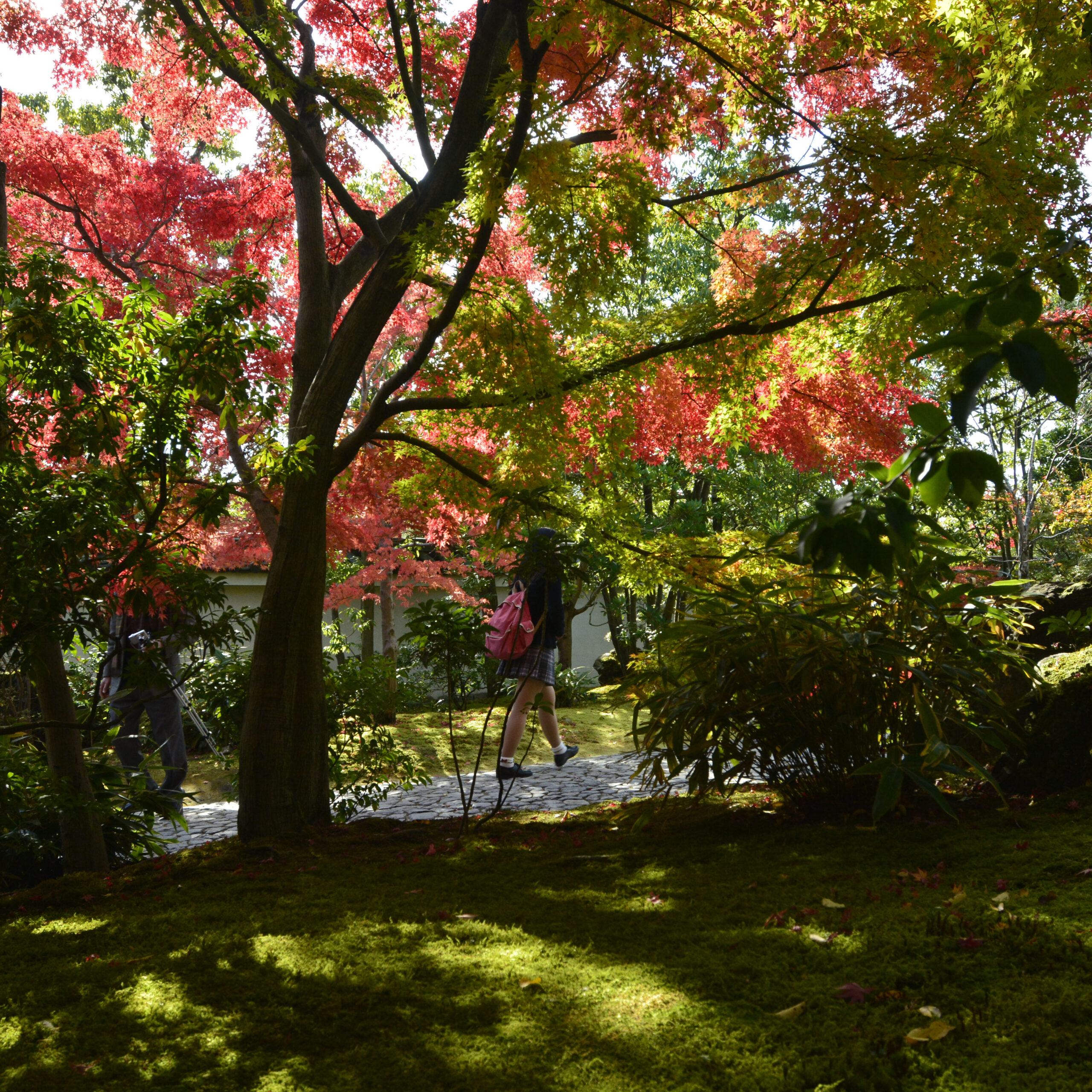 女性的な日本庭園＠姫路好古園