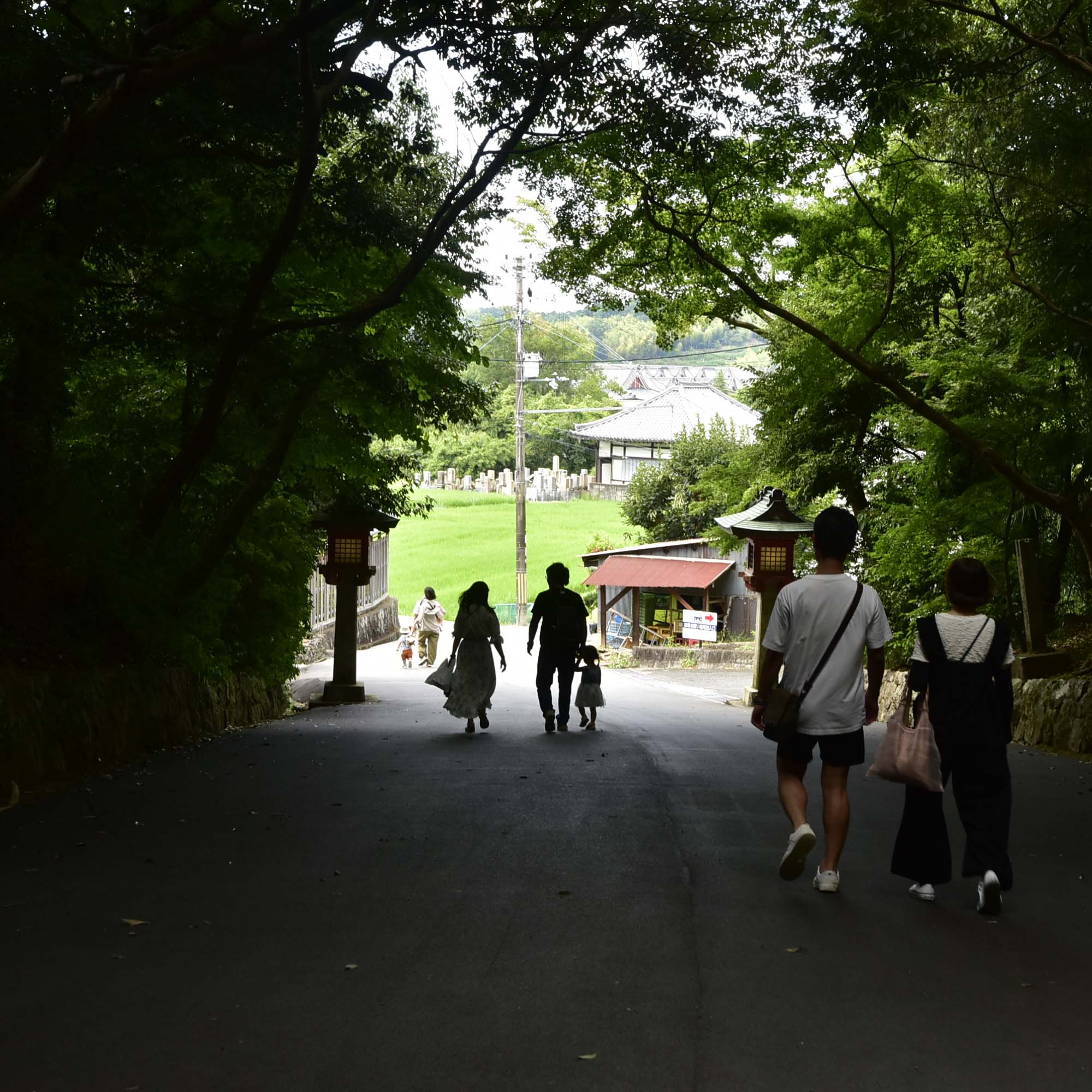 日本三大神宮の石上神宮