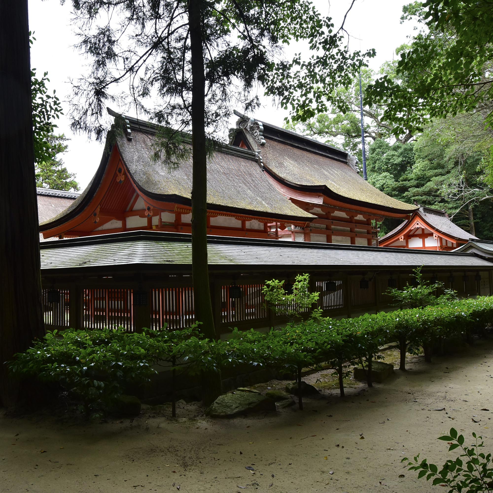 大山祇神社