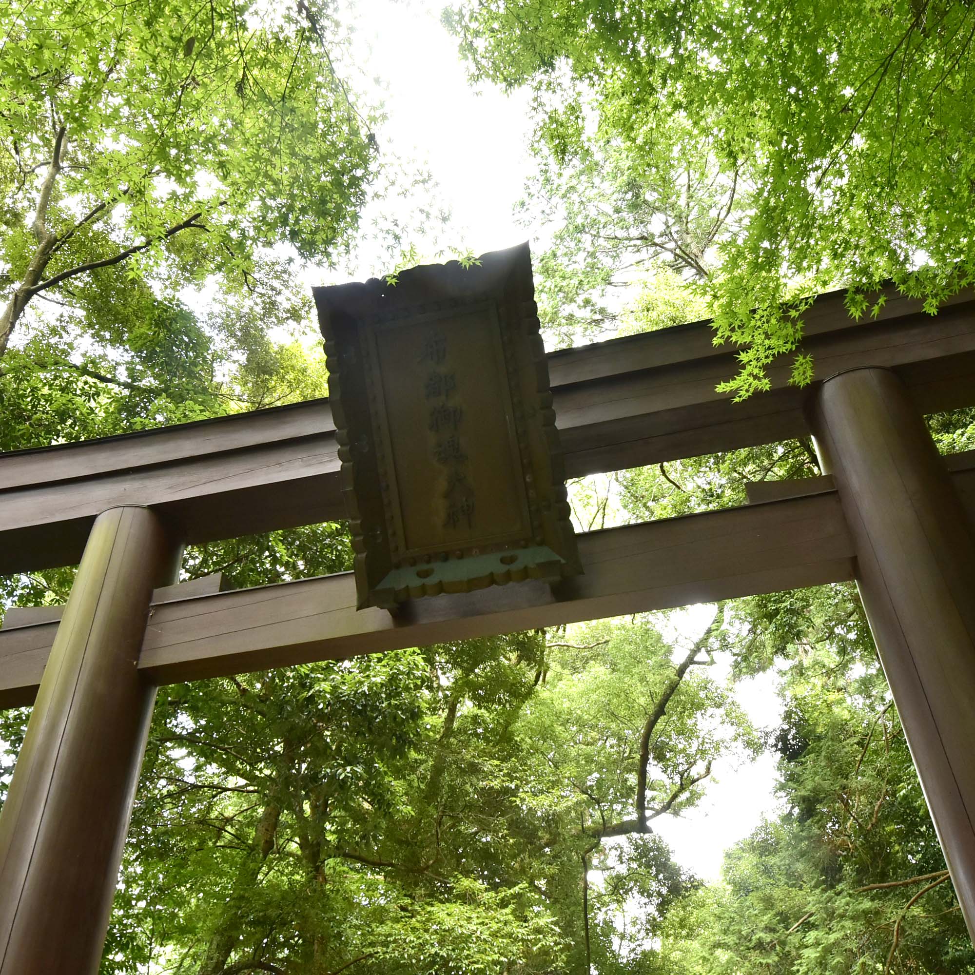 日本三大神宮の石上神宮