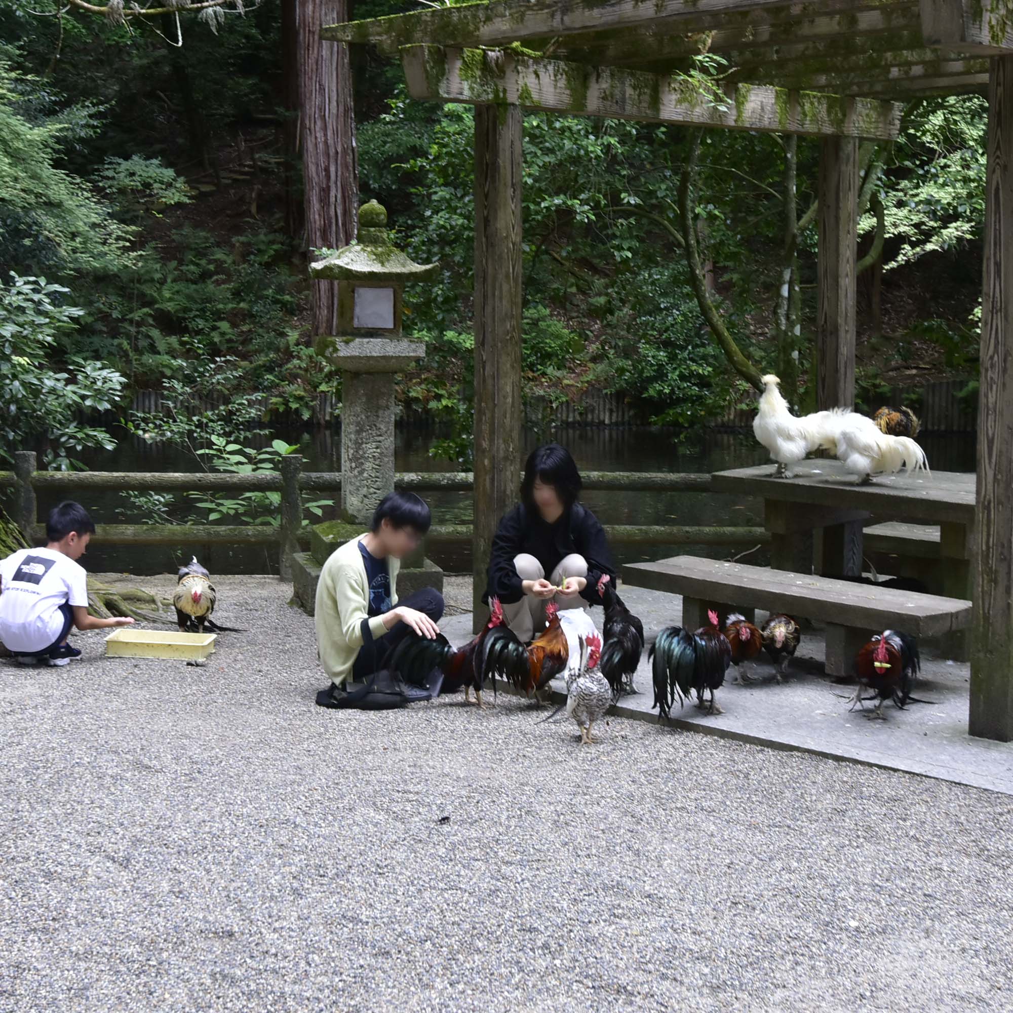 日本三大神宮の石上神宮