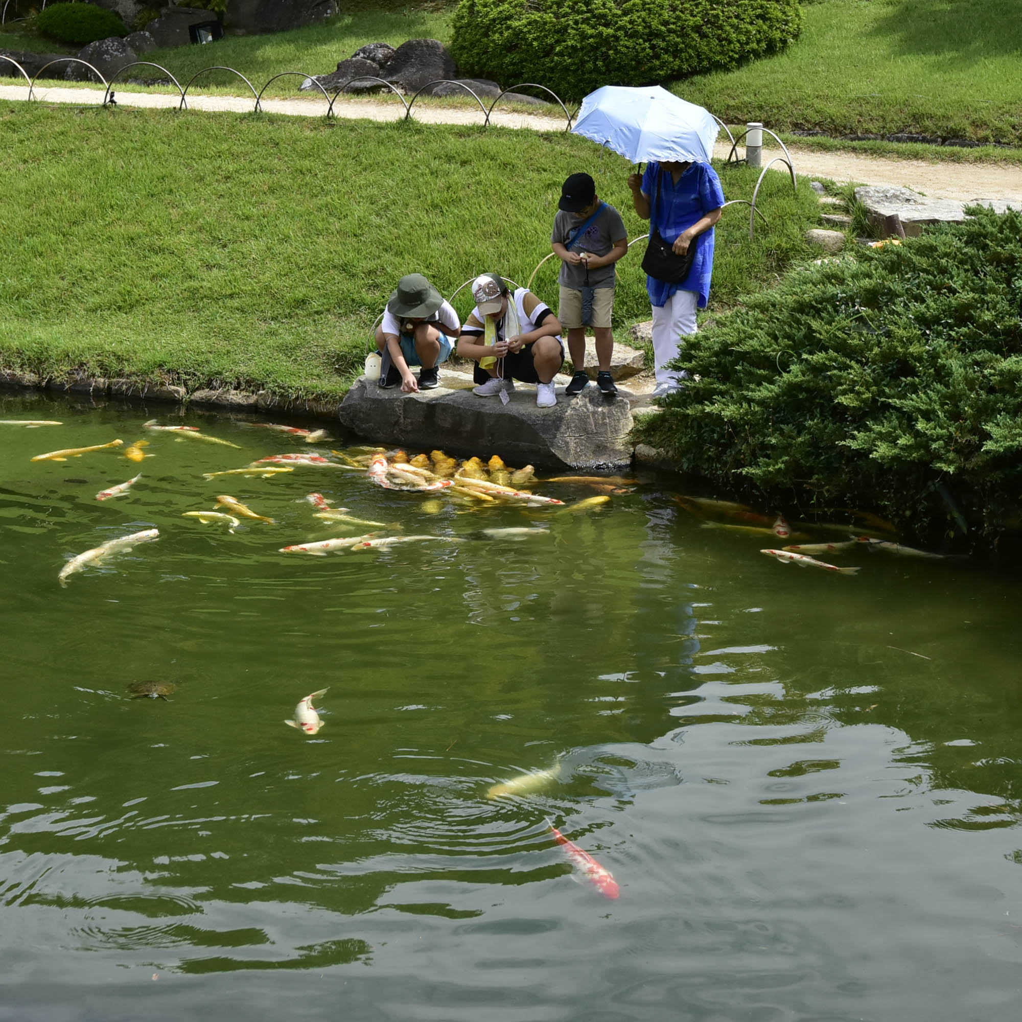 岡山後楽園